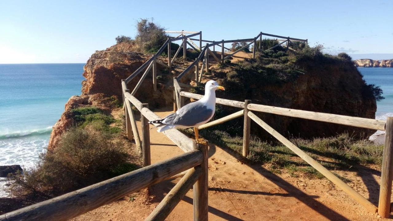 Praia Mar II 포티마오 외부 사진